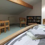 Lejlighed Spacious In With Garden