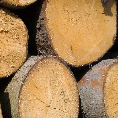 Spacious In With Garden * Boddin