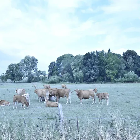 Spacious In With Garden アパート Boddin