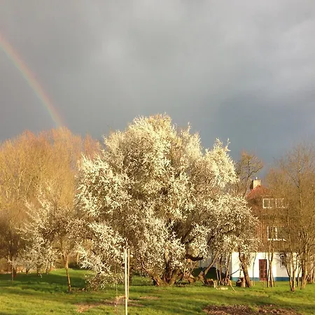 Spacious In With Garden