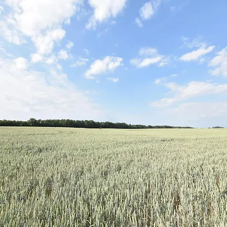 アパート Spacious In With Garden Boddin