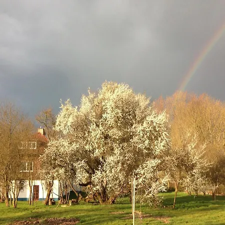 アパート Spacious In With Garden Boddin