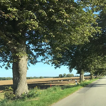 Spacious In With Garden *