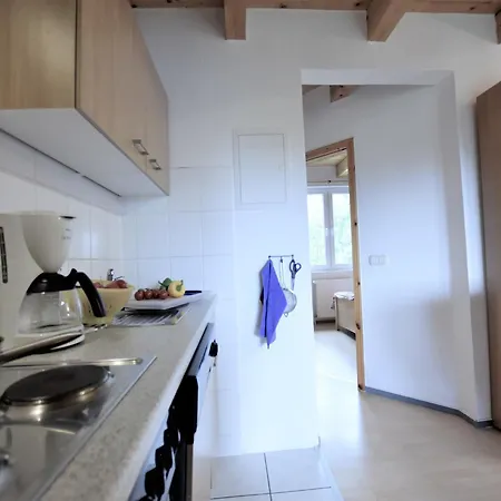 Spacious In With Garden Lejlighed
