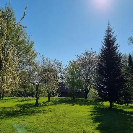 Spacious In With Garden Boddin