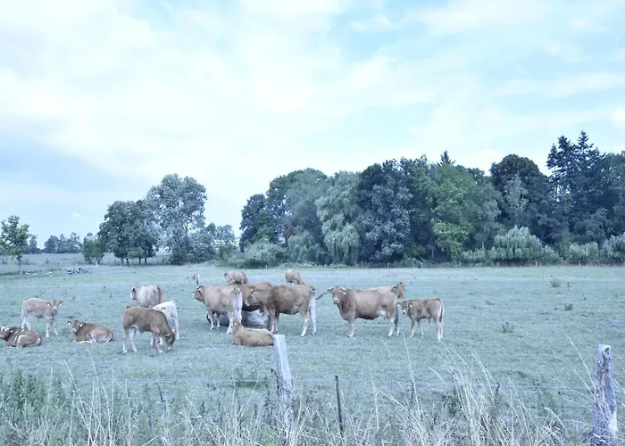 Spacious In With Garden Apartamento Boddin