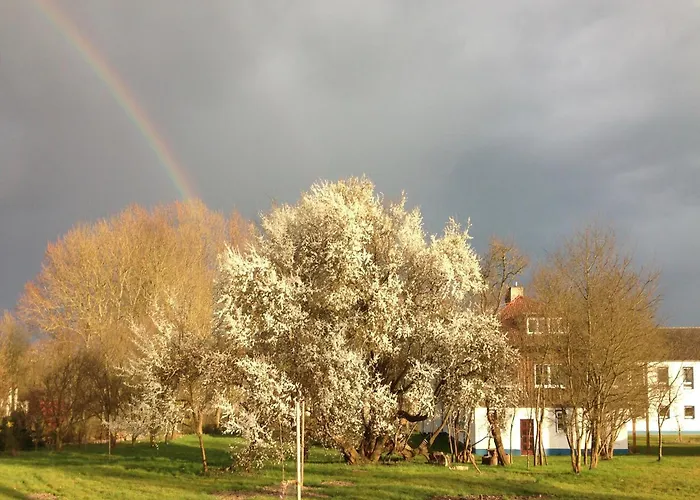 Spacious In With Garden