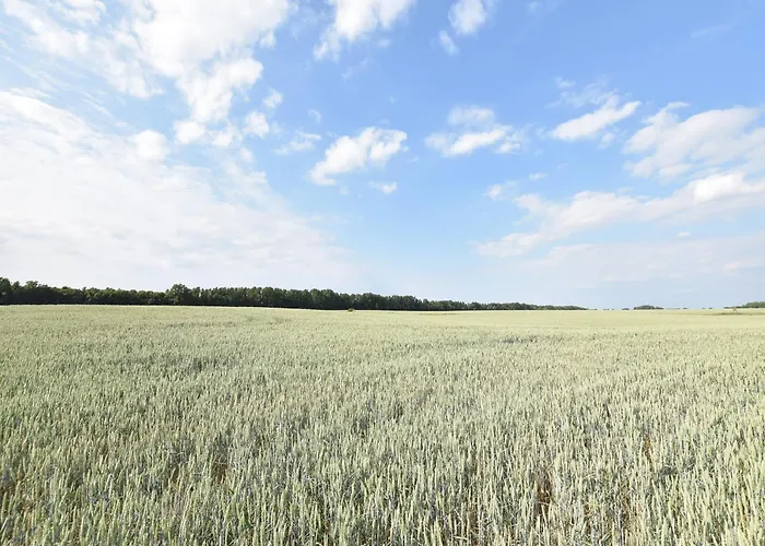 Apartamento Spacious In With Garden Boddin