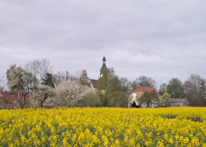 Apartamento Spacious In With Garden *