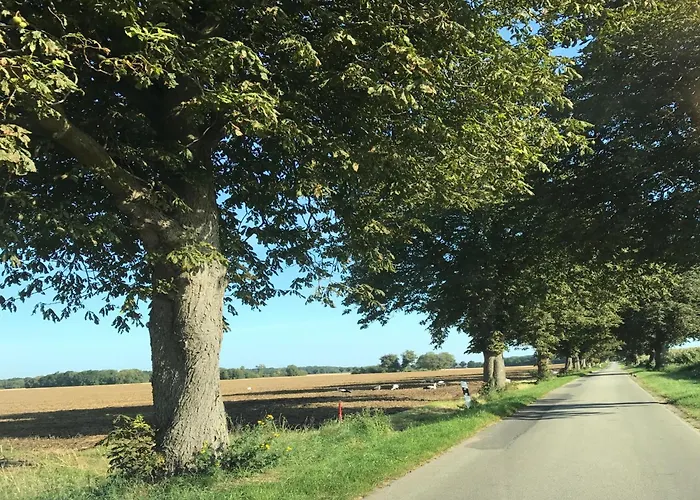 Spacious In With Garden *