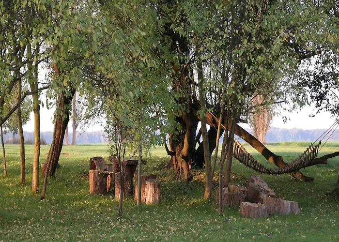 Spacious In With Garden Apartamento