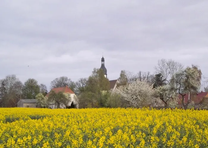 Spacious In With Garden Boddin