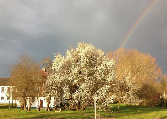 Apartamento Spacious In With Garden