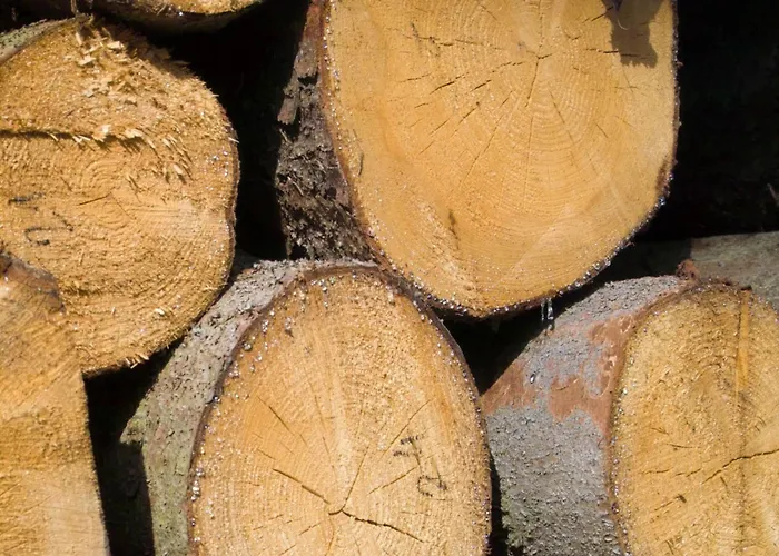 Apartamento Spacious In With Garden Boddin